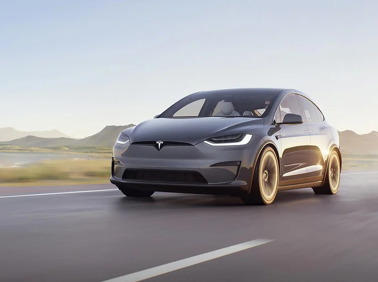 Tesla Palladium Model X